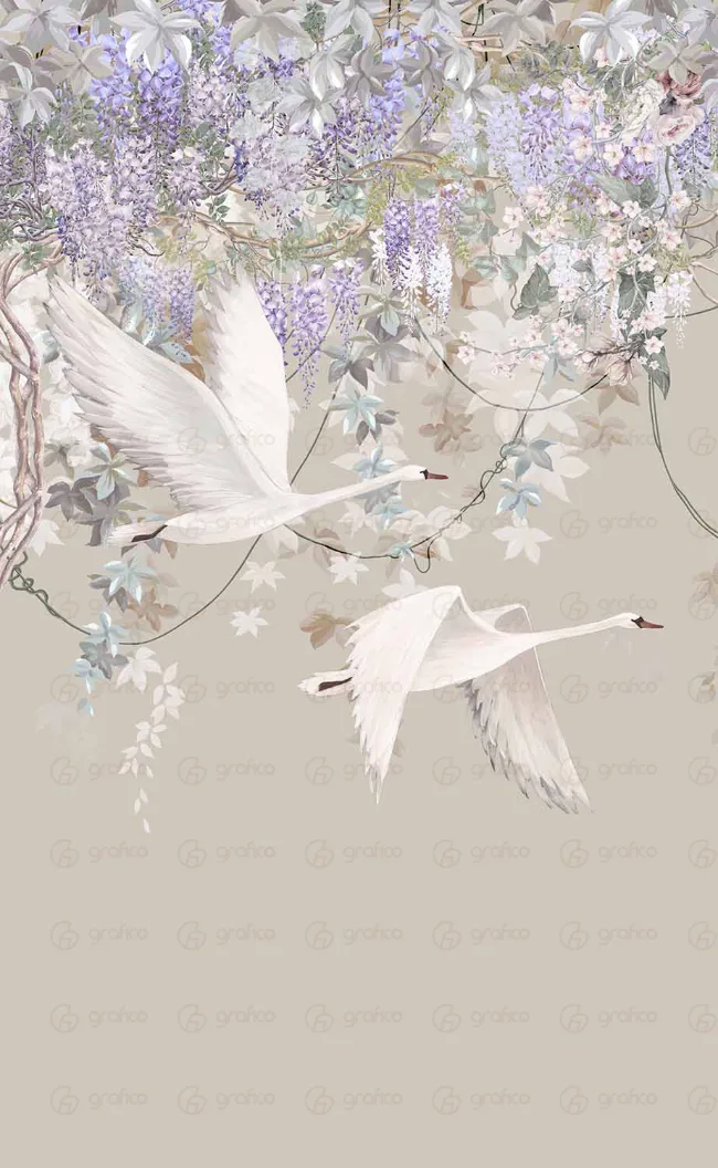 ID008-36-bg