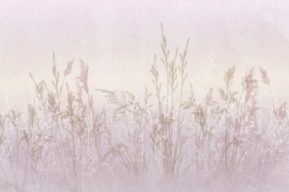 ID008-33-r