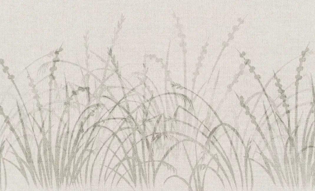 ID008-5-bg