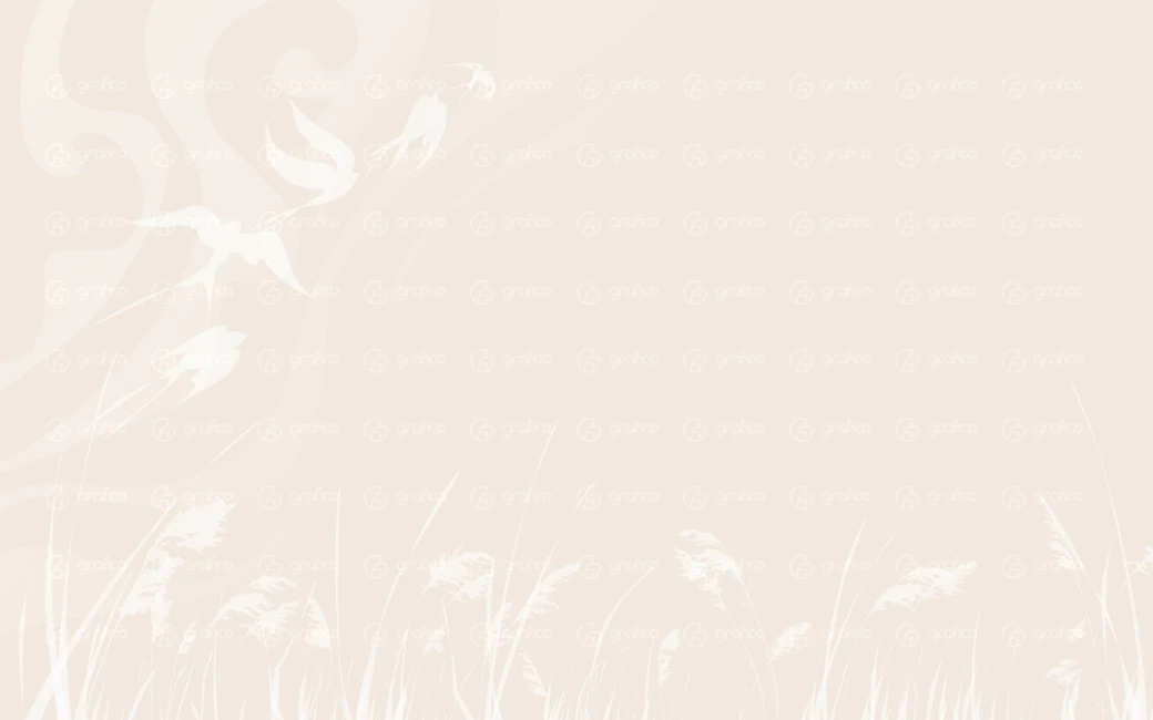 ID004-30-bg