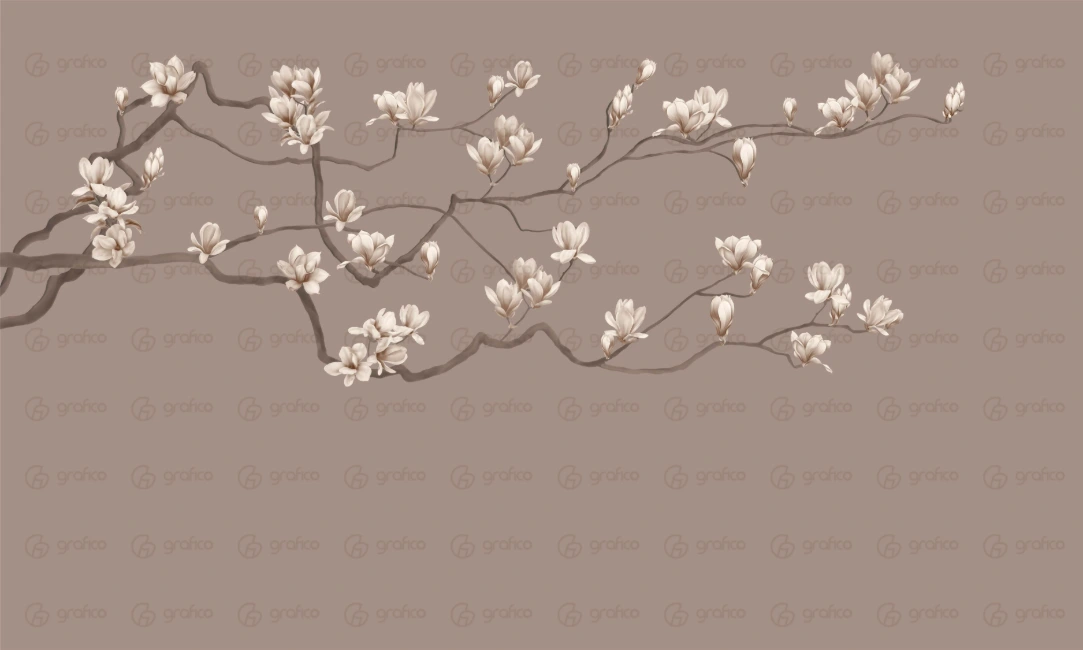 ID008-12-bg