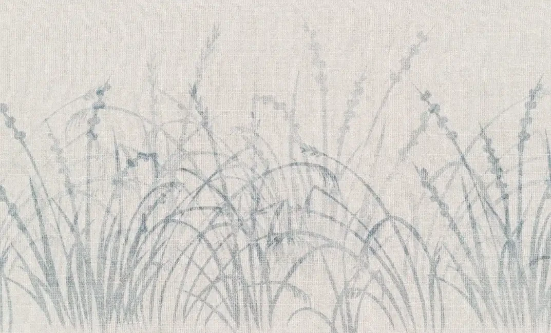 ID008-5-bl