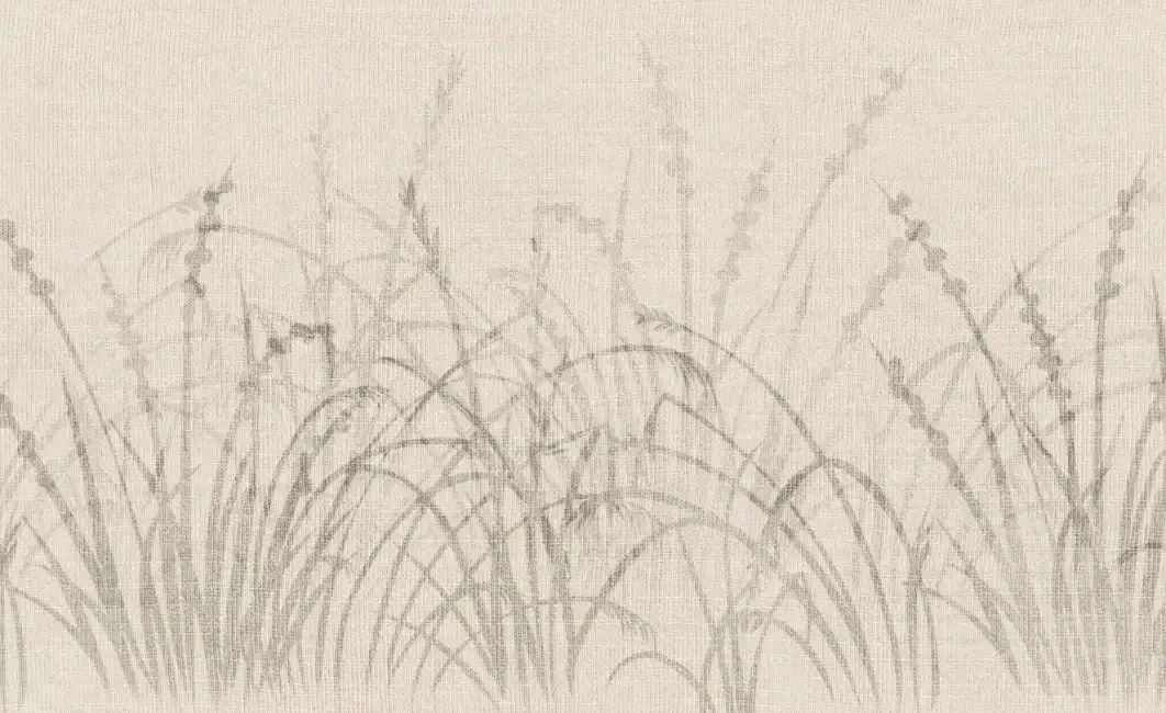 ID008-5-bg2