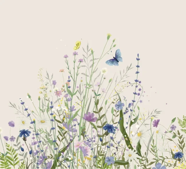 ID006-13-bg