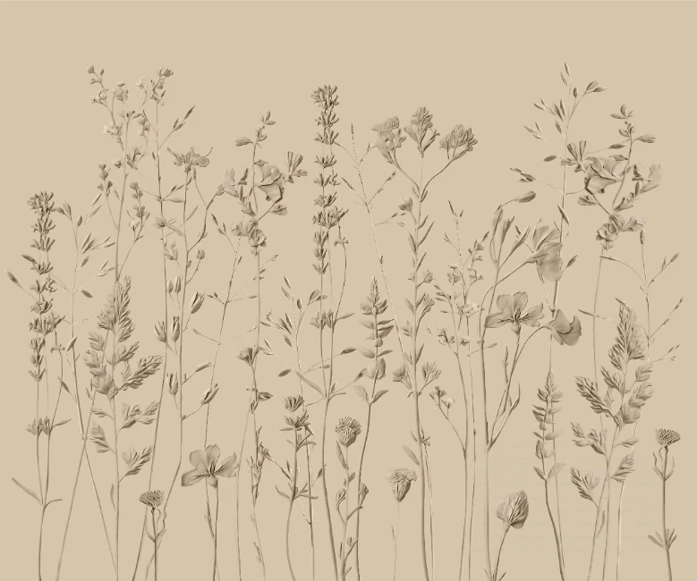 ID008-43-bg